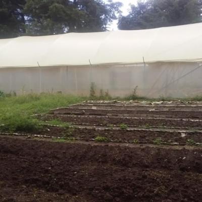 Siga Green House Full Of Passion Fruits And Vegetables