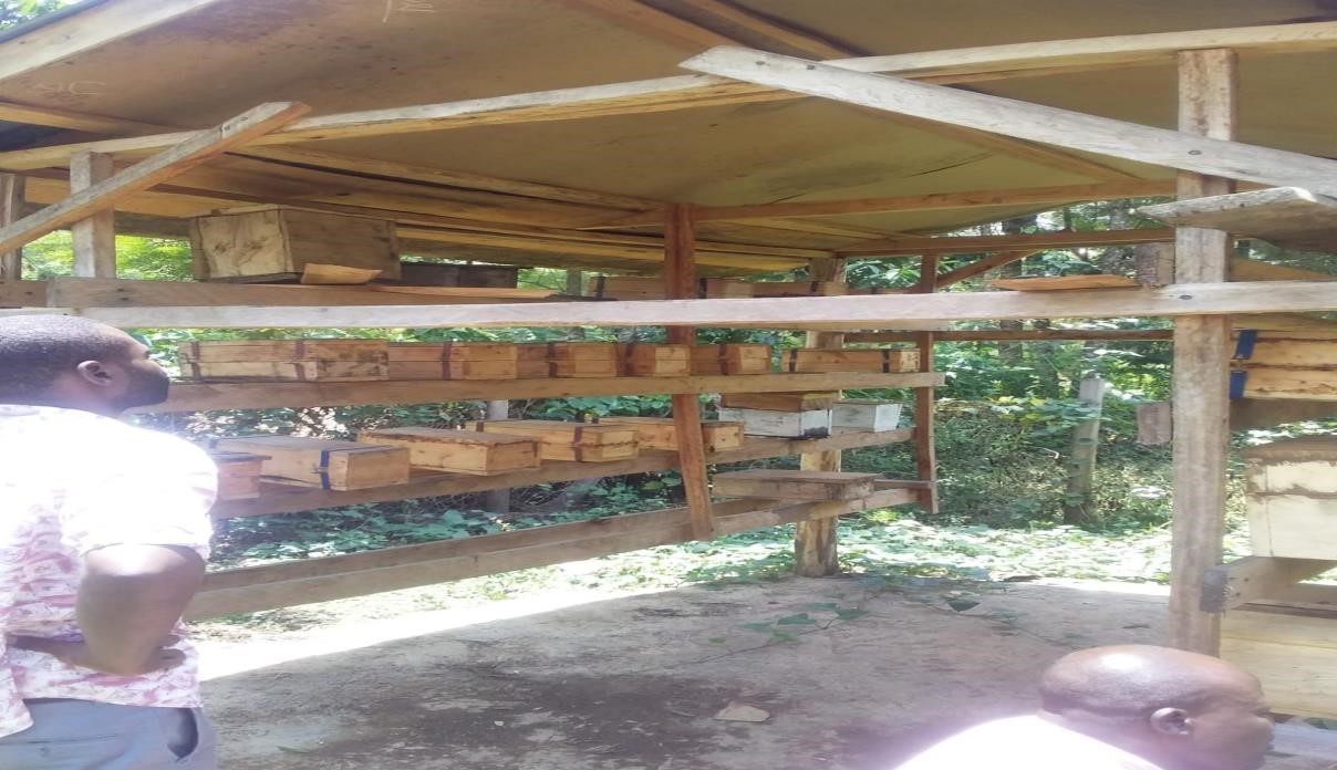 Siga Modern Apiary